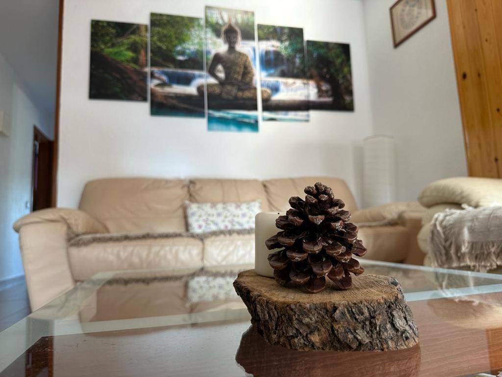 Apartamento Can Giru ตอร์เดรา ภายนอก รูปภาพ